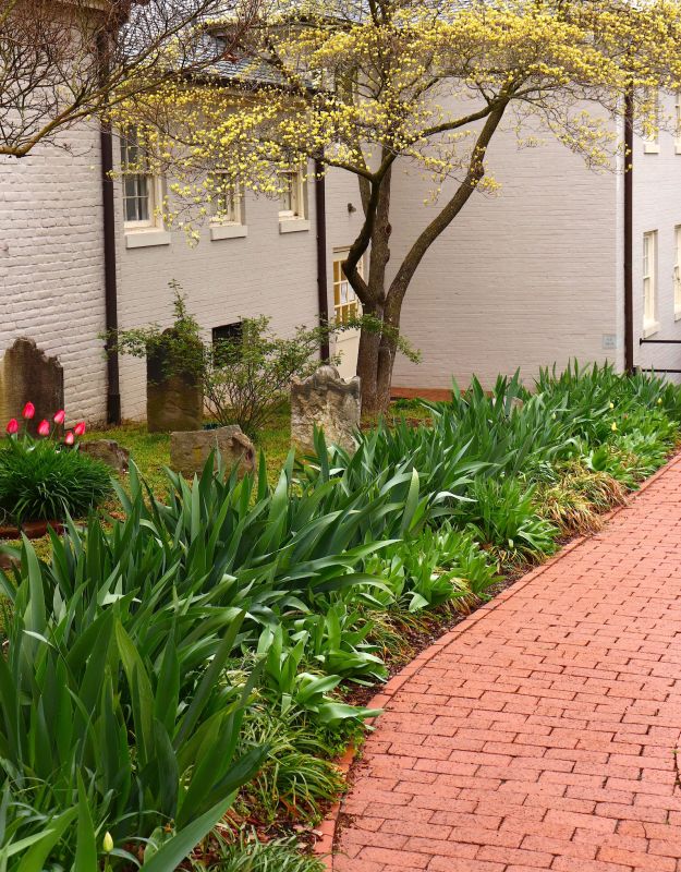 Repair Solutions For Uneven Commercial Brick And Stone Walkways